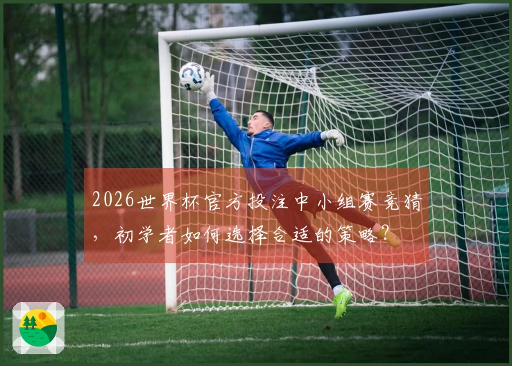 2026世界杯官方投注中小组赛竞猜，初学者如何选择合适的策略？