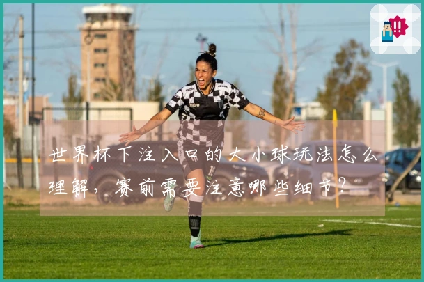世界杯下注入口的大小球玩法怎么理解，赛前需要注意哪些细节？