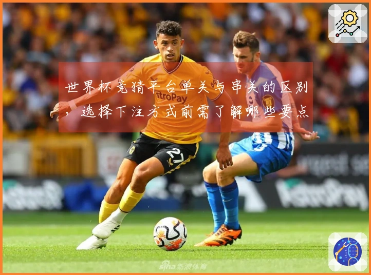 世界杯竞猜平台单关与串关的区别，选择下注方式前需了解哪些要点？