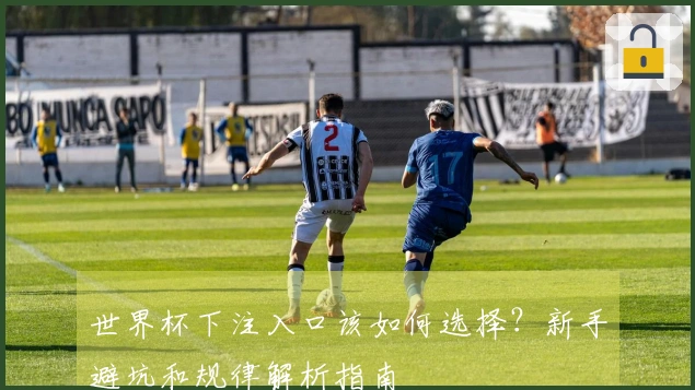 世界杯下注入口该如何选择？新手避坑和规律解析指南