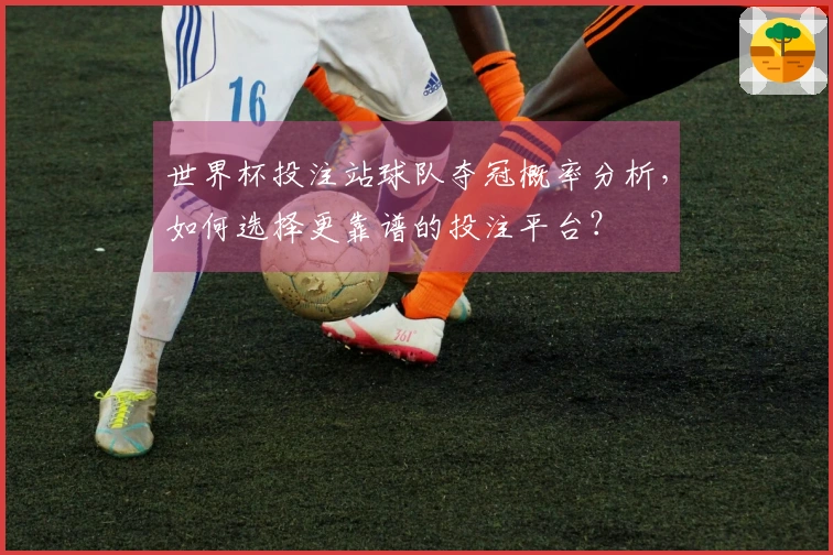 世界杯投注站球队夺冠概率分析，如何选择更靠谱的投注平台？